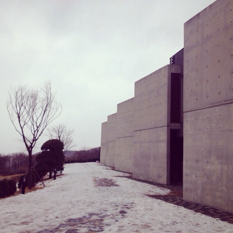 iPhone_12