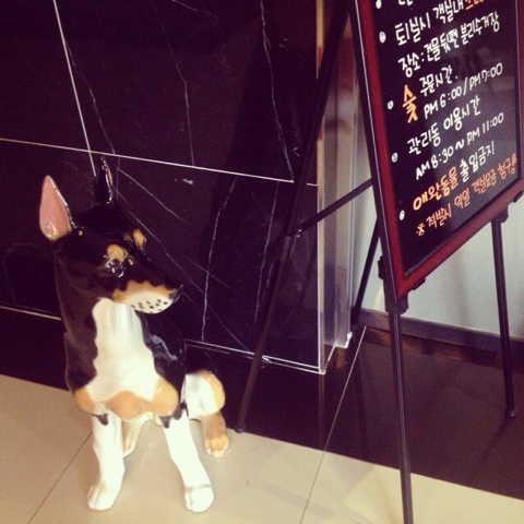 iPhone_15_(1)