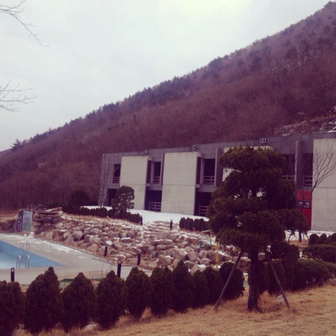 iPhone_16_(1)