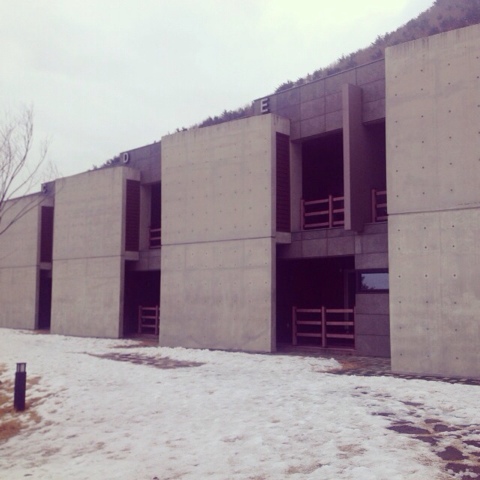 iPhone_17_(1)