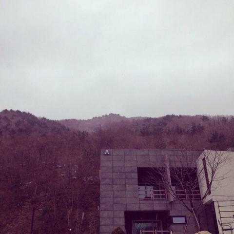 iPhone_1_(1)
