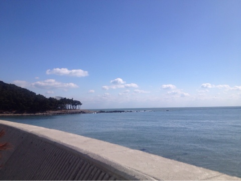 iPhone_31