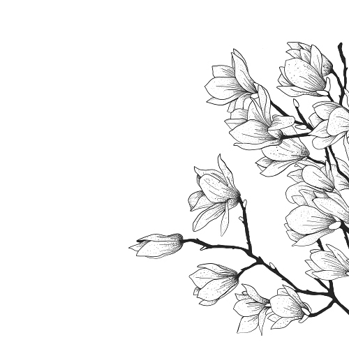 #illustration #?#drawing #jtdesignlife