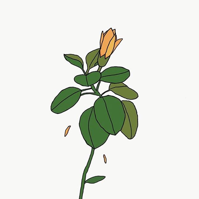 #jtdesignlife #illustration