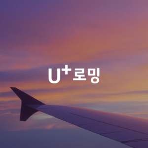 LG U+플러스로밍