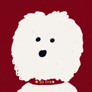 꼬띠샵